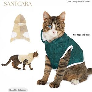 Fil De Seda Cat and Dog Sweater